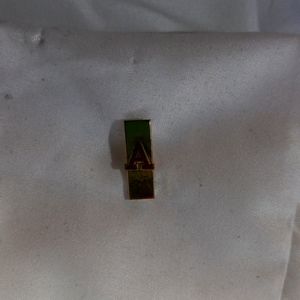 U.S.coast guard auxiliary pin